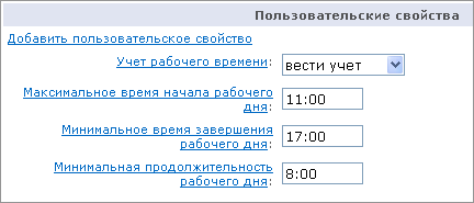 Пользовательские свойства для настройки учета рабочего времени