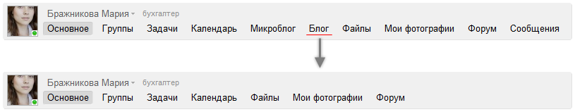 Вид дополнительного меню для всех пользователей после ограничения доступа к блогу